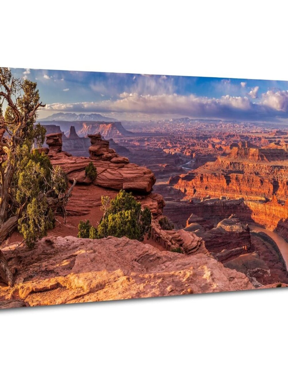 Nature Desert Wall Art for Living Room Office Grand Canyon Landscape Picture Can